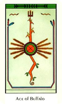 ace-pentacles