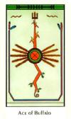 ace-pentacles