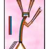 six-swords