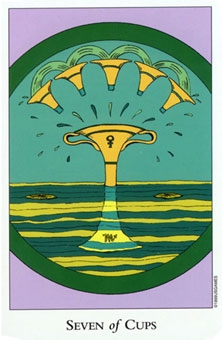 seven-cups
