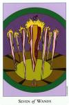 seven-wands