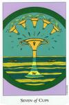seven-cups