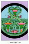 three-cups