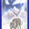 变形塔罗牌 Shapeshifter Tarot