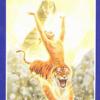 变形塔罗牌 Shapeshifter Tarot