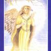 变形塔罗牌 Shapeshifter Tarot