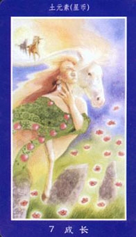 seven-pentacles