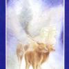 变形塔罗牌 Shapeshifter Tarot