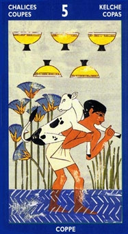 five-cups