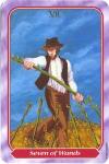 seven-wands