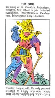 fool