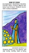 nine-pentacles