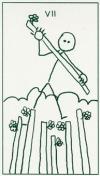 seven-wands