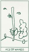ace-wands