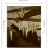 锦绣塔罗牌 Tapestry Tarot