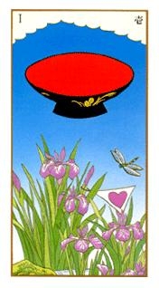 ace-cups