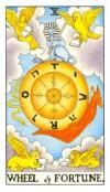fortune-wheel