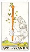 ace-wands