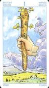 ace-wands