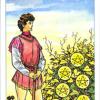 seven-pentacles