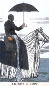 索姆尼亚塔罗牌插图版 The Somnia Tarot Illustrated Edition
